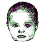 Moss Reinboldt